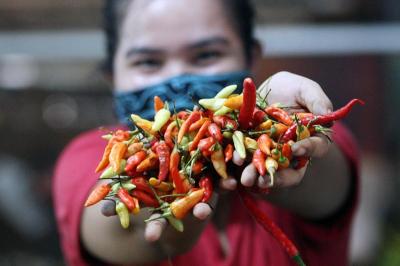 Pedagang menunjukan cabai rawit di Pasar Kramat Jati, Jakarta Timur, Senin (8/3/2021).