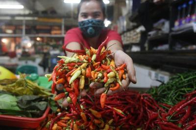 Pedagang menunjukan cabai rawit di Pasar Kramat Jati, Jakarta Timur, Senin (8/3/2021).