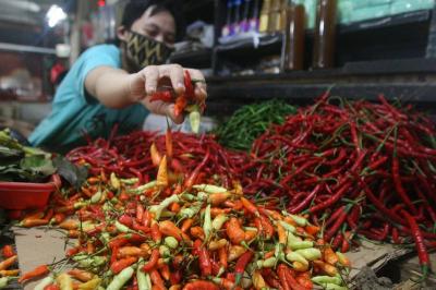 Harga cabai rawit sempat tembus Rp130 ribu per kilogram pada akhir pekan lalu.