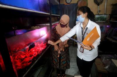 Petugas Lembaga Penjamin Simpanan (LPS) melakukan survei kepuasan pelayanan di toko ikan hias di Kota Bekasi, Jawa Barat