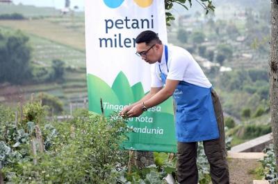 Gubernur Jawa Barat Ridwan Kamil memetik hasil pertanian usai melakukan kick-off program Petani Milenial di Desa Suntenjaya, Lembang, Kabupaten Bandung Barat,