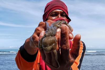 Warga menunjukan anak gurita untuk di jual kepada wisatawan atau kepasar di Pantai Anyer, Serang, Banten, Sabtu(27/3/2021).
