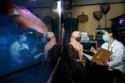 Petugas Lembaga Penjamin Simpanan (LPS) melakukan survei kepada pengusaha ikan hias di kawasan Bantar Gebang, Kota Bekasi.