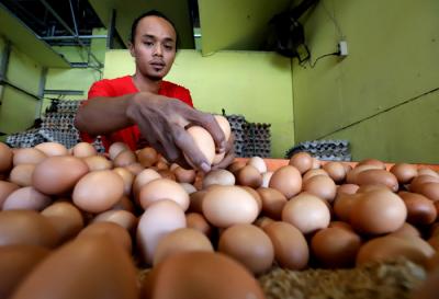 Pedagang menata telur ayam di kiosnya di Pasar Kecapi, Kota Bekasi, Jawa Barat, Senin (12/4/2021).