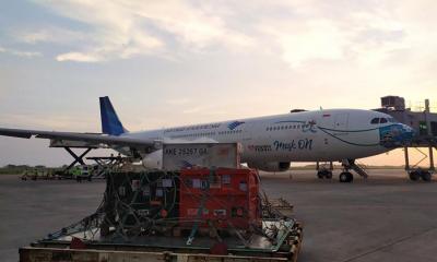 Petugas kargo memasukkan kontainer berisi empat orangutan ke dalam bagasi pesawat Garuda Indonesia di Bandara  Yogyakarta, Selasa (13/4/2021).