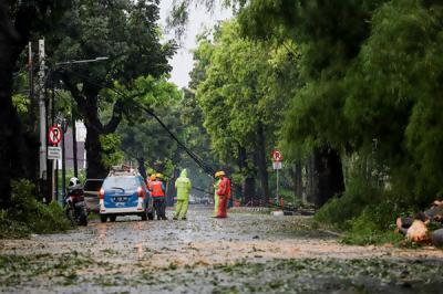 Petugas kepolisian dan PLN meninjau lokasi pohon tumbang di Jalan Hang Tuah Raya, Kebayoran Baru, Jakarta Selatan, Rabu (14/4/2021).
