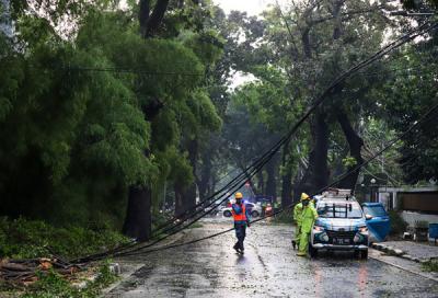 Petugas kepolisian dan PLN meninjau lokasi pohon tumbang di Jalan Hang Tuah Raya, Kebayoran Baru, Jakarta Selatan, Rabu (14/4/2021).