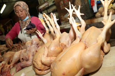 Pedagang daging ayam potong melayani pembeli di Pasar Wonokromo Surabaya, Jawa Timur, Selasa (20/4/2021).