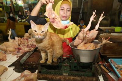 Pedagang daging ayam potong melayani pembeli di Pasar Wonokromo Surabaya, Jawa Timur, Selasa (20/4/2021).