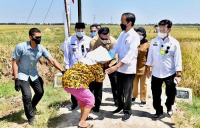 Presiden Joko Widodo meninjau aktivitas panen padi di kawasan pertanian yang berada di Kecamatan Bangodua, Kabupaten Indramayu, Jawa Barat, Rabu (21/4/2021).