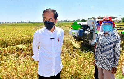 Presiden Joko Widodo meninjau aktivitas panen padi di kawasan pertanian yang berada di Kecamatan Bangodua, Kabupaten Indramayu, Jawa Barat, Rabu (21/4/2021).