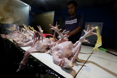 Pedagang merapikan ayam di Pasar Kecapi, Kota Bekasi, Jawa Barat, Sabtu (24/4/2021)