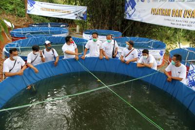 Acara Pelatihan dan Usaha Ikan Nila, sekaligus Launching program #Ayo Bangkit di Kecamatan Sereal, Bogor, Jawa Barat, Minggu (25/4/2021).