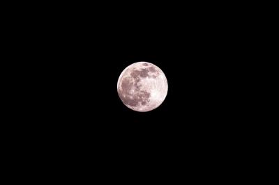 Pemandangan bulan purnama merah muda terlihat dari kawasan Pamulang, Tangerang Selatan, Senin (26/4/2021).
