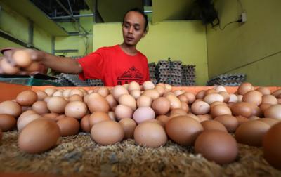 Pedagang merapikan telur di Pasar Kecapi, Kota Bekasi, Jawa Barat, Rabu (28/4/2021).