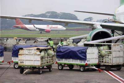 Calon penumpang saat akan memasuki pesawat di Bandara Halim Perdanakusuma, Jakarta, Rabu (28/4/2021).