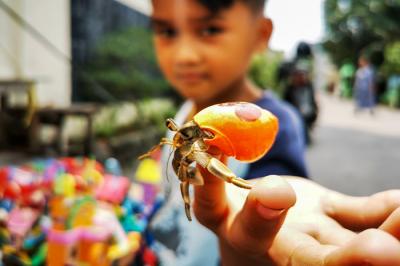 Anak-anak sedang membeli umang-umang atau yang biasa disebut keong dengan macam warna bergambar kartun pada cangkangnya di Jakarta Barat, Rabu (28/4/2021).