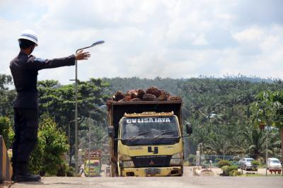 Pekerja membawa kelapa sawit di perkebunan milik PT Sawit Sumbermas Sarana (SSMS) di Pangkalan bun, Kalimantan Tengah, Kamis (29/4/2021).