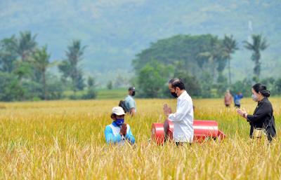 Presiden Joko Widodo melakukan peninjauan proses tanam dan panen padi di Desa Kanigoro, Kabupaten Malang, Jawa Timur, Kamis (29/4/2021).
