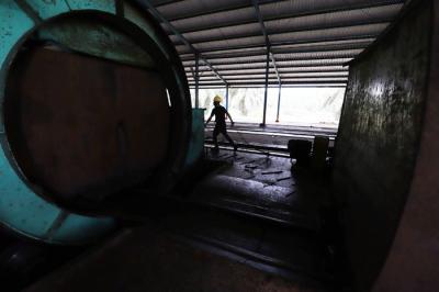 Truk bermuatan Tandan Buah Segar Kelapa Sawit menurunkan buah di Pabrik Kelapa Sawit PT. Sawit Sumbermas Sarana di Pangkalan bun, Kamis (29/4/2021).