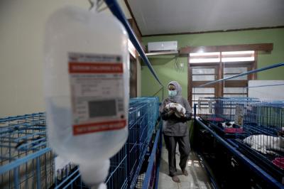 Petugas memeriksa kondisi hewan peliharaan yang dititipkan di Amore Animal Clinic, Pasar Minggu, Jakarta, Rabu (12/5/2021).
