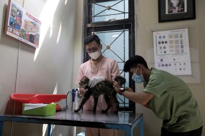 Petugas memeriksa kondisi hewan peliharaan yang dititipkan di Amore Animal Clinic, Pasar Minggu, Jakarta, Rabu (12/5/2021).