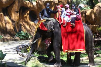 Pengunjung merasakan sensasi memberikan makan satwa ketika berwisata di Kebun Binatang Surabaya (KBS), Jawa Timur, Jumat (14/5/2021).