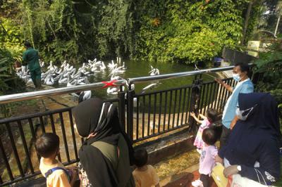 Sejumlah wisatawan menyaksikan Gajah sumatra (Elephas maximus sumatranus) di Taman Margasatwa Ragunan, Jakarta, Jumat (14/5/2021).