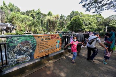 Wisatawan melihat hewan saat berwisata di Taman Margasatwa Ragunan, Jakarta, Sabtu (15/5/2021).