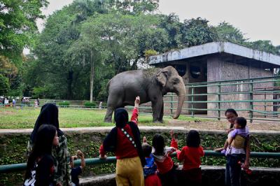 Wisatawan melihat hewan saat berwisata di Taman Margasatwa Ragunan, Jakarta, Sabtu (15/5/2021).
