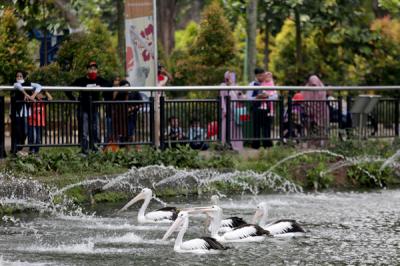 Pengunjung saat berwisata di Taman Margasatwa Ragunan, Jakarta, Rabu (26/5/2021).
