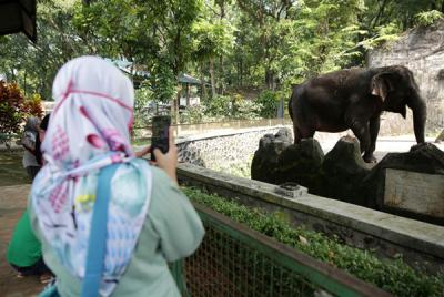 Pengunjung saat berwisata di Taman Margasatwa Ragunan, Jakarta, Rabu (26/5/2021).