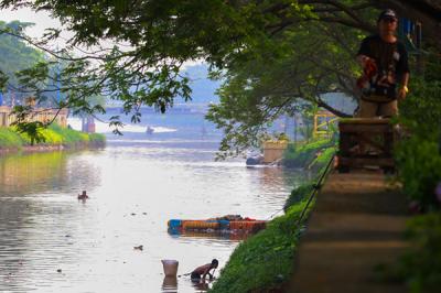 Warga mencari cacing sutra untuk pakan ikan cupang di Banjir Kanal Barat, Jakarta Barat, Selasa (1/6/2021).