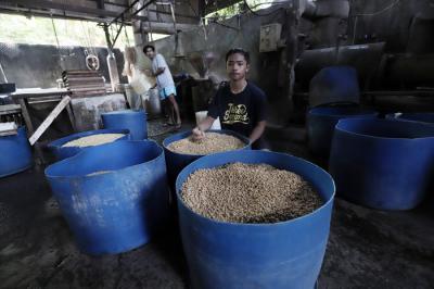 Pekerja memilih kedelai disalah satu pabrik tahu di kawasan Jakarta Selatan, Jumat (4/6/2021).