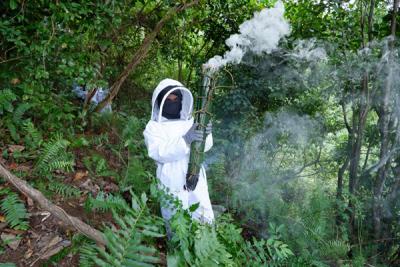 Meski sulit diakses, Dusun Cindakko memiliki potensi hasil alam yang menjanjikan, diantaranya madu hutan, kopi robusta dan arabika, serta gula aren.