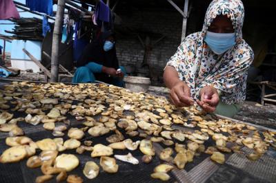 Perajin mengolah ikan terung laut untuk dijadikan kerupuk terung di Pesisir Kenjeran Surabaya, Jawa Timur, Selasa (15/6/2021).
