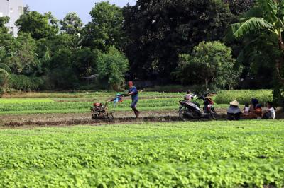 Petani bercocok tanam di Lahan Sempit persis disebelah Stadion Jakarta Internasional Stadium (JIS) di Kasawan Sunter, Jakarta Utara, Jumat (18/6/2021).