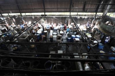 Pekerja menyelesaikan pembuatan tahu disalah-satu pabrik tahu di kawasan Jakarta Selatan, kemarin.