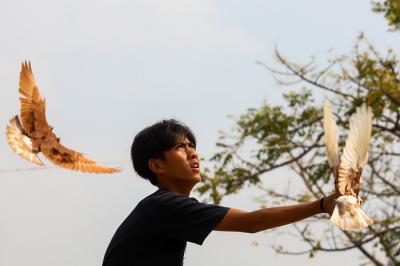 Ekspresi para Penghobi burung merpati saat sedang melatih burung di Jakarta Barat, Minggu (27/6/2021).