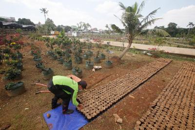 Petugas merawat bibit tanaman di Kebun Bibit Casamora, Jagakarsa, Jakarta, Jumat (2/7/2021).