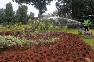 Petugas merawat bibit tanaman di Kebun Bibit Casamora, Jagakarsa, Jakarta, Jumat (2/7/2021).