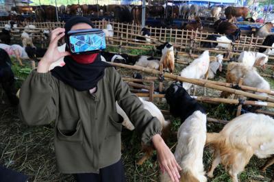 Calon pembeli mencoba pengalaman belanja hewan Kurban menggunakan teknologi Virtual Reality di kandang Ternaknesia Merr Surabaya, Jawa Timur, Kamis (15/7/2021).