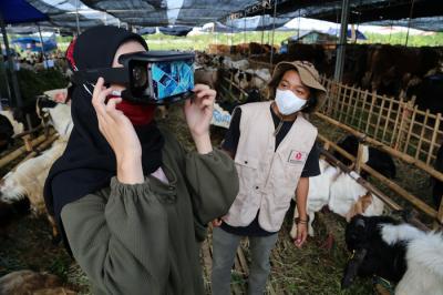 Calon pembeli mencoba pengalaman belanja hewan Kurban menggunakan teknologi Virtual Reality di kandang Ternaknesia Merr Surabaya, Jawa Timur, Kamis (15/7/2021).