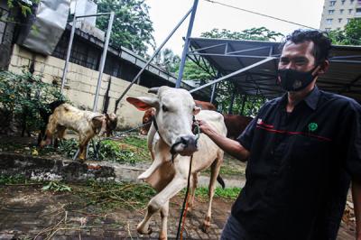 Direktur Litigasi MNC Group Gabriel Mahjudin memberikan satu ekor sapi kepada Kompol Bambang Edi Haryanto di Jakarta, Senin (19/7/2021).