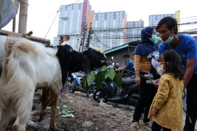 Warga melihat hewan kurban di kawasan bongkaran Delta, Serdang, Kemayoran, Jakarta Pusat, Senin (19/7/2021).