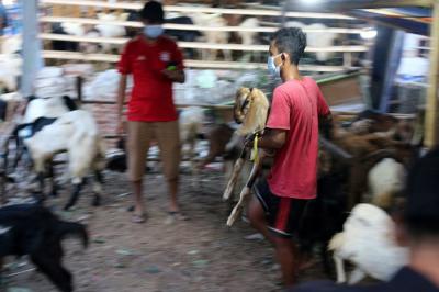 Warga melihat hewan kurban di kawasan bongkaran Delta, Serdang, Kemayoran, Jakarta Pusat, Senin (19/7/2021).