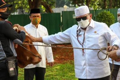 Ketua DPD RI LaNyalla Mahmud Matallitti menyerahkan hewan kurban sapi kepada kesetjenan DPD RI di Jakarta, Selasa (20/7/2021).