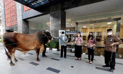 MNC Peduli Serah Terima Kurban kepada Pelaku Pariwisata dan Ekonomi Kreatif melalui Gabungan Industri Pariwisata Indonesia (GIPI) berupa satu ekor sapi.