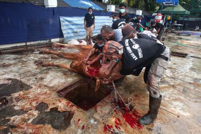 Panitia memotong daging hewan kurban di Masjid Agung Al-Azhar, Jakarta Selatan, Rabu (21/7/2021).