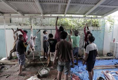 Panitia melakukan pemotongan hewan kurban di kawasan Menteng, Jakarta Pusat, Kamis (22/7/2021).